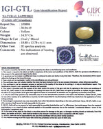 Load image into Gallery viewer, 16.19 Ratti Natural Yellow Sapphire With Govt Lab Certificate-(1221)