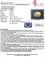 Load image into Gallery viewer, 9.07/CT Natural Ceylonese Pukhraj With Govt Lab Certificate-4551