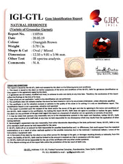 6.33 Ratti Natural Hessonite with Govt. Lab Certificate-(1221)