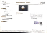 Load image into Gallery viewer, 12.07/CT South Sea Pearl with Govt. Lab Certificate-1550
