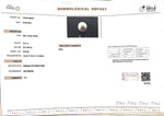 Load image into Gallery viewer, 8.27/CT South Sea Pearl with Govt. Lab Certificate-1550