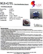 Load image into Gallery viewer, 7.10 Ratti Natural Iolite With Govt. Lab Certificate-(1221)