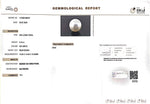 Load image into Gallery viewer, 8.19/CT Natural South Sea Pearl with Govt. Lab Certificate (1550)