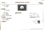 Load image into Gallery viewer, 8.35/CT Natural South Sea Pearl with Govt. Lab Certificate (1550)