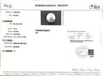 Load image into Gallery viewer, 11.93/CT Natural South Sea Pearl with Govt. Lab Certificate (1550)