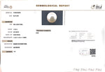 Load image into Gallery viewer, 11.02/CT Natural South Sea Pearl with Govt. Lab Certificate (1550)