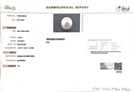 Load image into Gallery viewer, 11.86/CT Natural South Sea Pearl with Govt. Lab Certificate (1550)