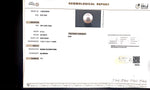 Load image into Gallery viewer, 8.15/CT Natural South Sea Pearl with Govt. Lab Certificate (1550)