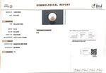 Load image into Gallery viewer, 9.21/CT Natural South Sea Pearl with Govt. Lab Certificate (1550)