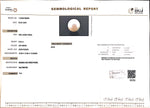 Load image into Gallery viewer, 9.34/CT Natural South Sea Pearl with Govt. Lab Certificate (1550)