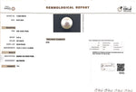 Load image into Gallery viewer, 8.43/CT Natural South Sea Pearl with Govt. Lab Certificate (1550)