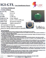 Load image into Gallery viewer, 12.49/CT Natural Emerald Stone With Govt. Lab Certificate (4551)