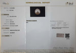 Load image into Gallery viewer, 6.41/CT Natural South Sea Pearl with Govt. Lab Certificate (1550)