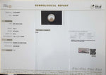 Load image into Gallery viewer, 3.31/CT Natural South Sea Pearl with Govt. Lab Certificate (1550)