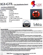 Load image into Gallery viewer, 9.29 Ratti Natural Hessonite with Govt. Lab Certificate-(1221)
