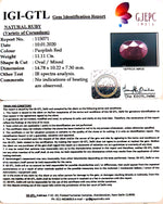 Load image into Gallery viewer, 12.34 Ratti Natural Indian Ruby with Govt. Lab Certificate-(1221)