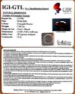 Load image into Gallery viewer, 8.19 Ratti Natural Govt. Lab Certified Ceylonese Gomed-(1221)