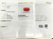 7.00/Carat Natural Cylindrical Red Coral-1800