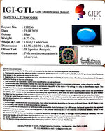 Load image into Gallery viewer, Turquoise