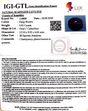 6.56 Ratti Natural Scapolite Cat's Eye with Govt. Lab Certified-(1221)