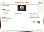 Load image into Gallery viewer, 4.61/CT Natural South Sea Pearl with Govt. Lab Certificate-1550