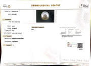 4.61/CT Natural South Sea Pearl with Govt. Lab Certificate-1550