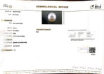Load image into Gallery viewer, 6.30/CT Natural South Sea Pearl with Govt. Lab Certificate-1550