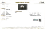 Load image into Gallery viewer, 4.89/CT Natural South Sea Pearl with Govt. Lab Certificate-1550