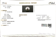 4.89/CT Natural South Sea Pearl with Govt. Lab Certificate-1550