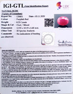 Load image into Gallery viewer, 9.15 Ratti Natural Neo Burma Ruby with Govt. Lab Certificate-(5661)