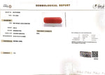 Load image into Gallery viewer, 8.00/Carat Natural Cylindrical Red Coral-1800