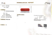 7.92/Carat Natural Cylindrical Red Coral-1800