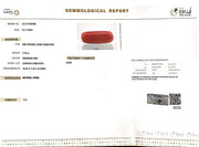 7.76/Carat Natural Cylindrical Red Coral-1800