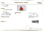 Load image into Gallery viewer, 7.01/CT Natural Triangular Red Coral-1800