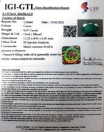 Load image into Gallery viewer, 5.18 Ratti Natural emerald with Govt Lab Certificate-(3441)