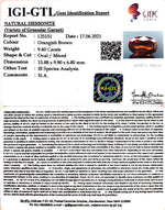 Load image into Gallery viewer, 9.40/CT Natural Govt. Lab Certified Ceylonese Gomed-(1221)