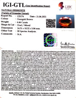 Load image into Gallery viewer, 7.17 Ratti Natural Govt. Lab Certified Ceylonese Gomed-(1221)