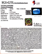 Load image into Gallery viewer, 4.14 Ratti Natural Blue Sapphire With Govt Lab Certified-(6771)