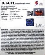 Load image into Gallery viewer, 3.89/CT Natural Govt. Lab Certified Ceylonese Gomed-(1221)