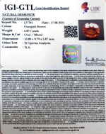 Load image into Gallery viewer, 4.83/CT Natural Govt. Lab Certified Ceylonese Gomed-(1221)