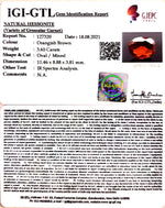 Load image into Gallery viewer, 3.65/CT Natural Govt. Lab Certified Ceylonese Gomed-(1221)