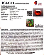Load image into Gallery viewer, 4.60/CT Natural Govt. Lab Certified Ceylonese Gomed-(1221)