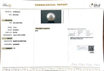 Load image into Gallery viewer, 7.74/CT South Sea Pearl with Govt. Lab Certificate-1550
