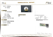 10.38/CT South Sea Pearl with Govt. Lab Certificate-1550