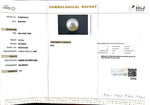 Load image into Gallery viewer, 10.18/CT South Sea Pearl with Govt. Lab Certificate-1550