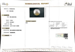 Load image into Gallery viewer, 11.98/CT South Sea Pearl with Govt. Lab Certificate-1550