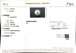Load image into Gallery viewer, 7.40/CT South Sea Pearl with Govt. Lab Certificate-1550