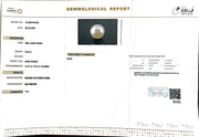 8.95/CT South Sea Pearl with Govt. Lab Certificate-1550