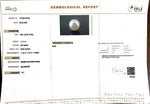 Load image into Gallery viewer, 11.21/CT South Sea Pearl with Govt. Lab Certificate-1550