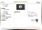 Load image into Gallery viewer, 12.35/CT South Sea Pearl with Govt. Lab Certificate-1550